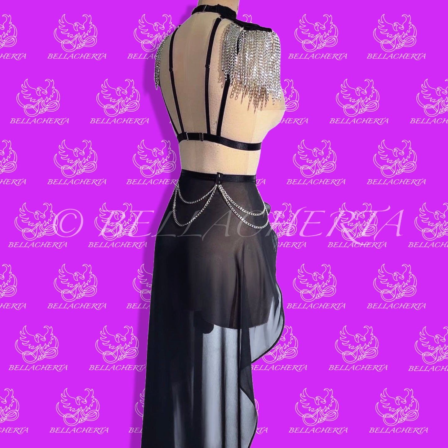 Chainlink Harness and Sheer Skirt Lingerie Set