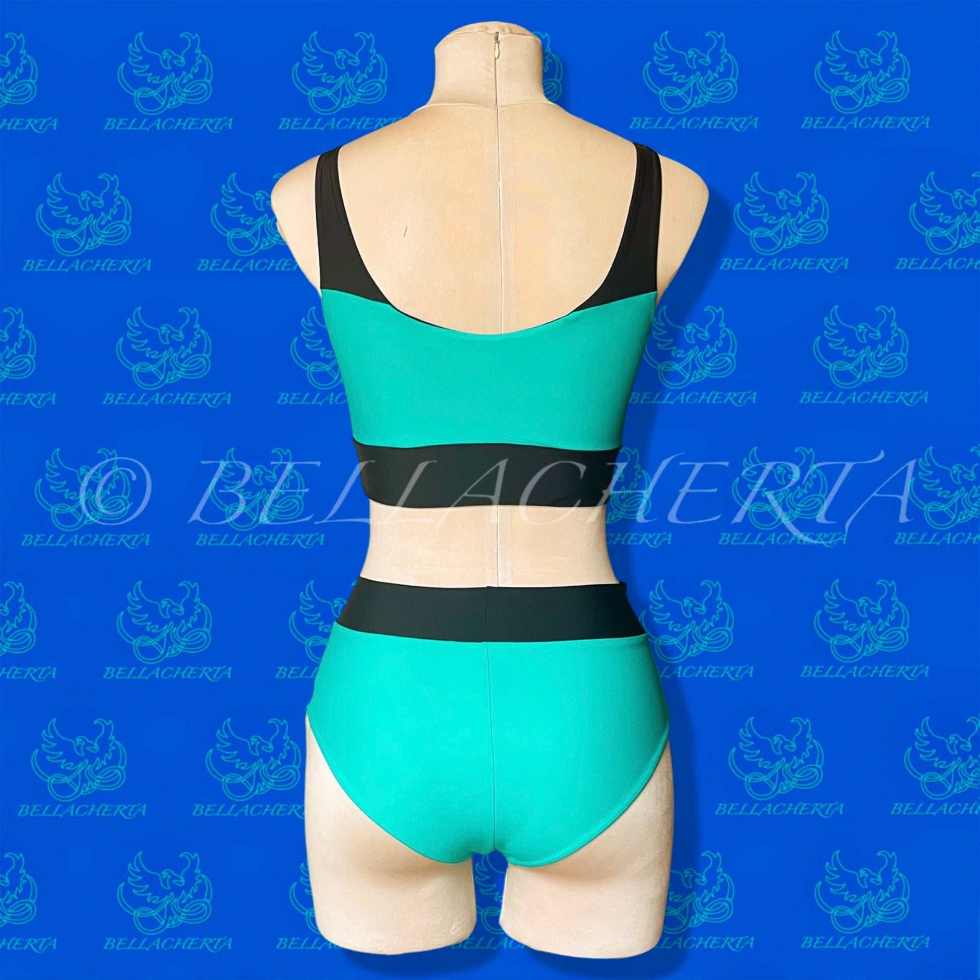 Contrasting Colors High-Waisted Panties and Top