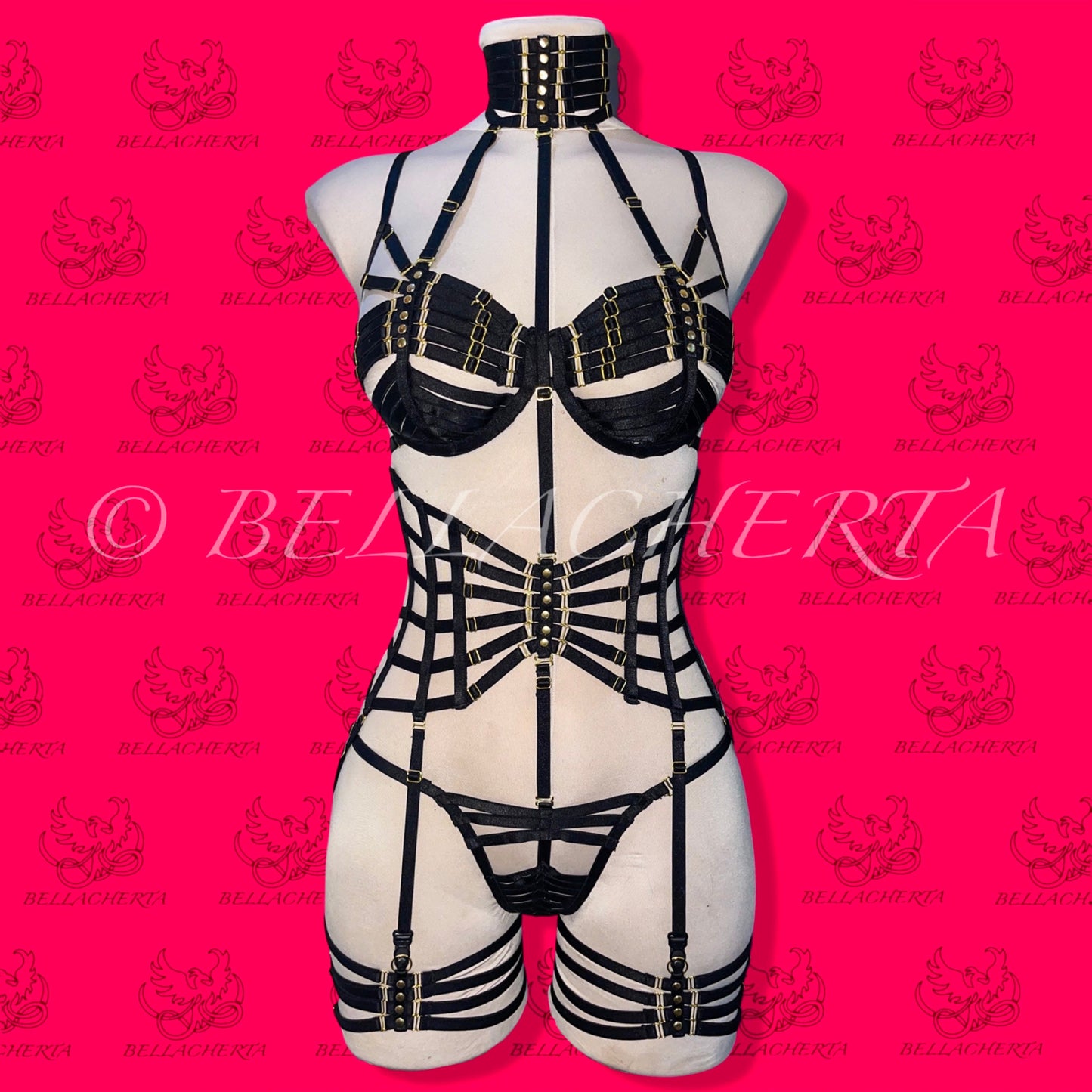 Full Body Harness Lingerie set / Strappy Bra with matching Choker, Panty, Garter Belt, and a pair of Garters
