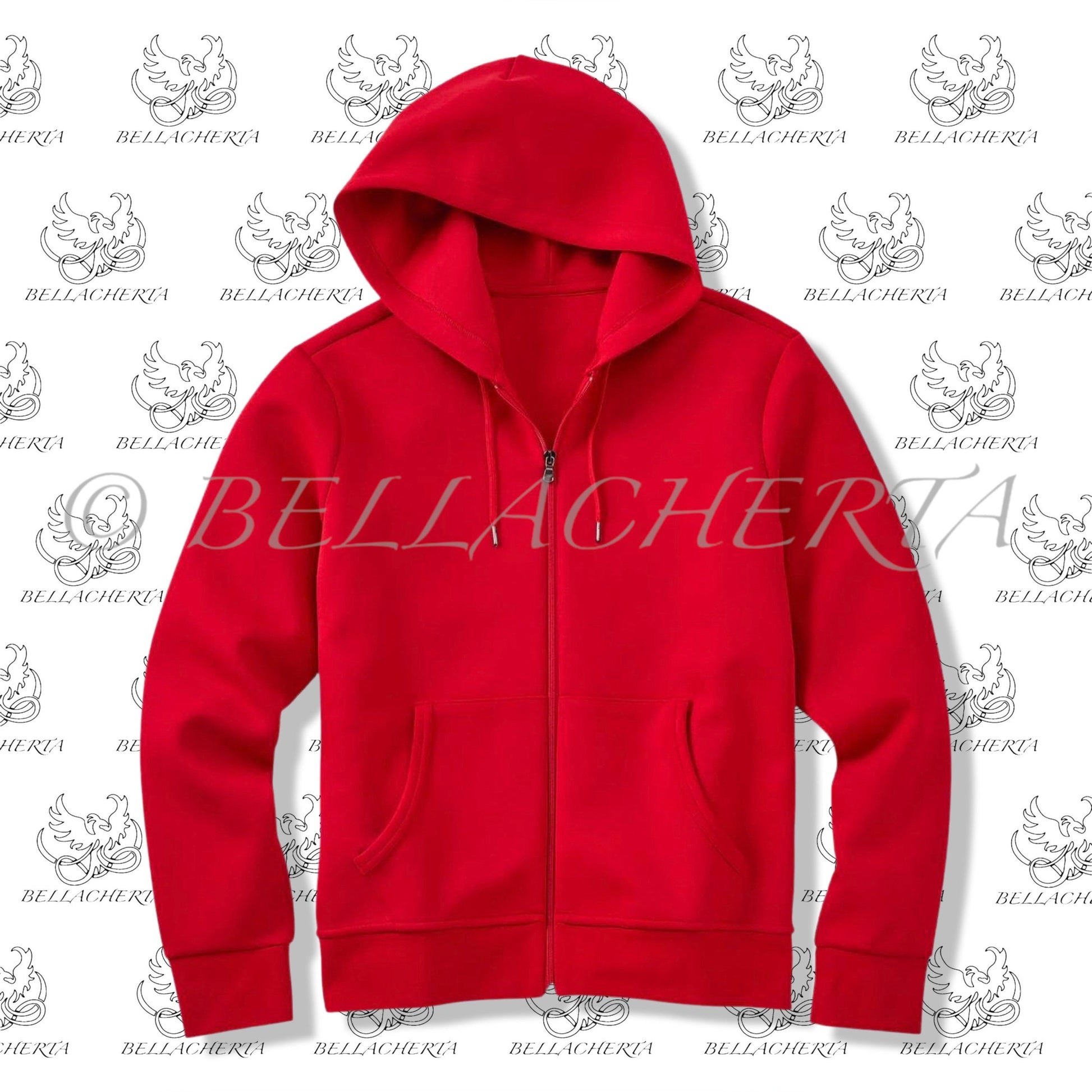 Modern Classic Drawstring Hoodie With Front Zipper