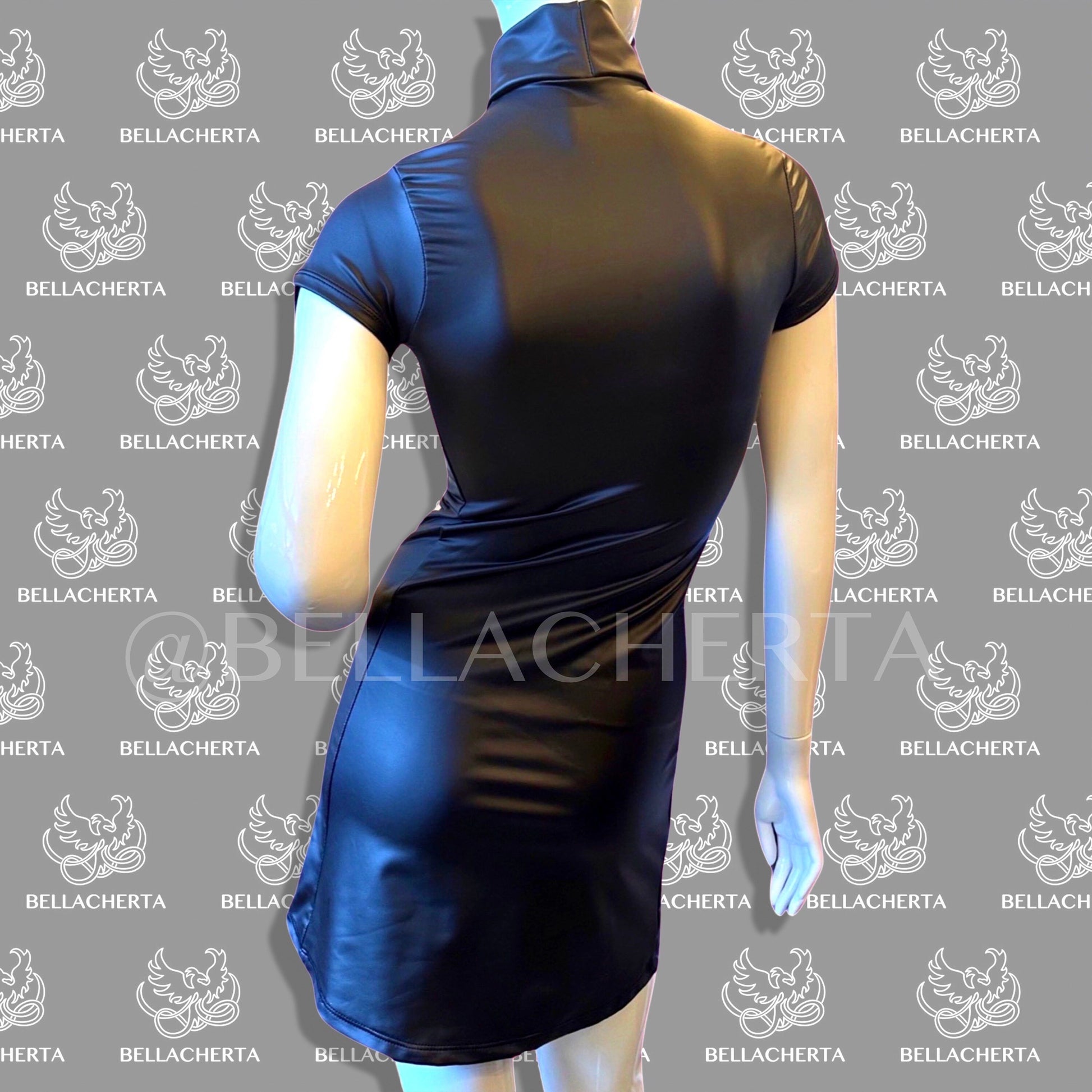Short-Sleeved Turtleneck Artificial Leather Mini Dress